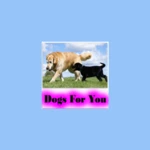 Logo of Dogs For You android Application 