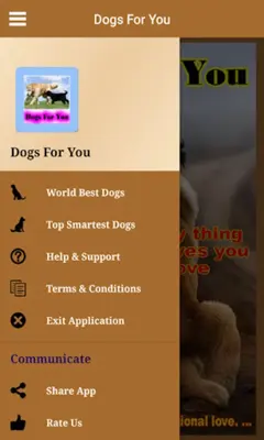 Dogs For You android App screenshot 10