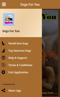 Dogs For You android App screenshot 2