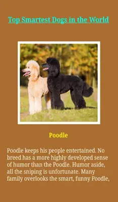 Dogs For You android App screenshot 4